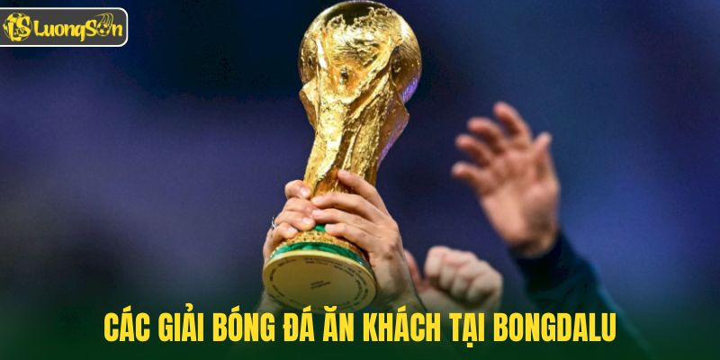 Các giải bóng đá có thể theo dõi tại Bongdalu