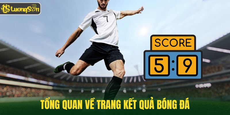 Tổng quan về trang kết quả bóng đá